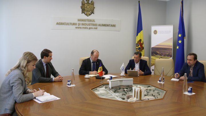 FAO va acorda sprijin financiar pentru susţinerea gospodăriilor agricole şi a micilor fermieri