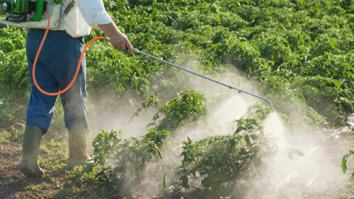 ANSA anunță 25 de cazuri de intoxicaţii cu pesticide. Majoritatea se produc în gospodării individuale