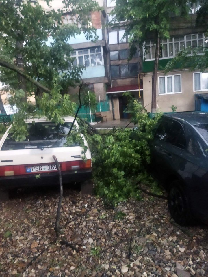 Natura s-a dezlănțuit. La Soroca a PLOUAT cu GRINDINĂ (VIDEO/FOTO)