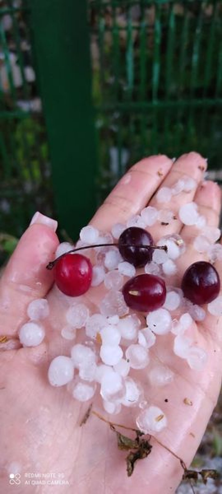 Natura s-a dezlănțuit. La Soroca a PLOUAT cu GRINDINĂ (VIDEO/FOTO)