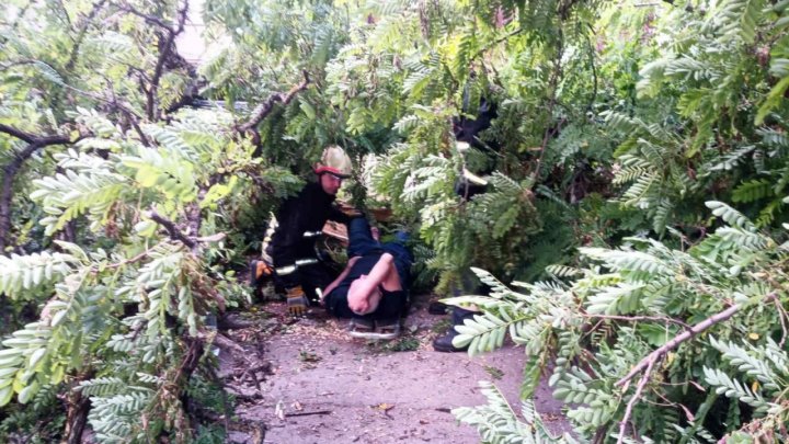 Un bărbat, BLOCAT sub un arbore doborât de vânt pe o stradă din Capitală (FOTO) 