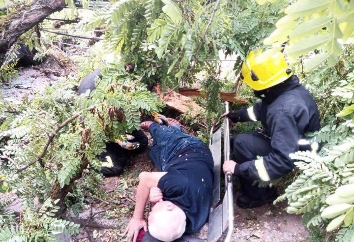 Un bărbat, BLOCAT sub un arbore doborât de vânt pe o stradă din Capitală (FOTO) 