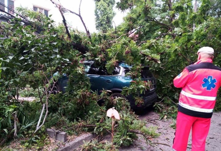 Un bărbat, BLOCAT sub un arbore doborât de vânt pe o stradă din Capitală (FOTO) 