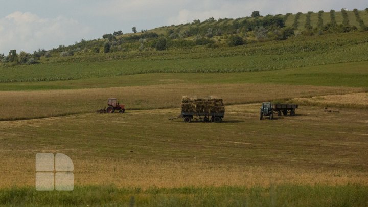 Cotele-părţi valorice din patrimoniul fostelor întreprinderi agricole vor putea trece în proprietatea unităților administrativ-teritoriale