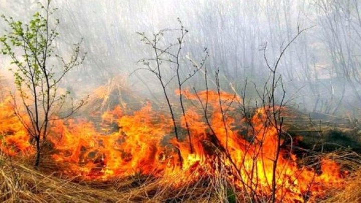 PERICOL EXCEPȚIONAL de incendii în toată Moldova. Codul galben a fost extins 