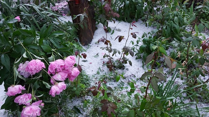 Natura s-a dezlănțuit. La Soroca a PLOUAT cu GRINDINĂ (VIDEO/FOTO)