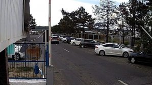 Cinci ucraineni și un moldovean, surprinși în timp ce traversau ilegal frontiera. DECLARAȚIILE bărbaților(VIDEO)