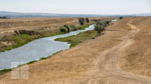 AVERTISMENT: Europa s-ar putea confrunta cu o secetă gravă în această vară. Lipsa precipitaţiilor provoacă îngrijorare