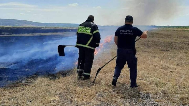 Un câmp din raionul Fălești, în FLĂCĂRI. Pompierii și polițiștii de frontieră au luptat mai mult de 2 ore pentru a stinge focul