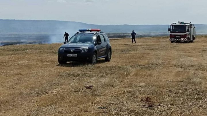 Un câmp din raionul Fălești, în FLĂCĂRI. Pompierii și polițiștii de frontieră au luptat mai mult de 2 ore pentru a stinge focul