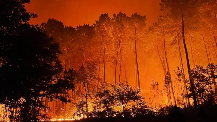 Vestul Europei continuă să ardă. Zeci de mii de hectare de pădure au fost mistuite de flăcări