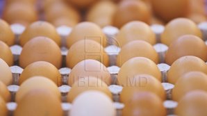 Ouăle și carnea de pui s-ar putea SCUMPI