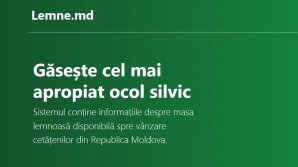 Site-ul lemne.md a fost lansat. Moldovenii pot obţine informaţii despre procedura de repartizare a lemnelor