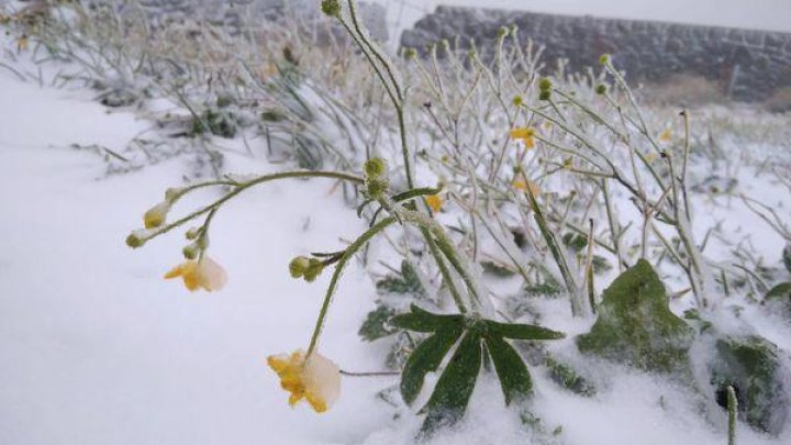 În Ucraina au căzut primii fulgi.  În zonă se atestă temperatură negativă