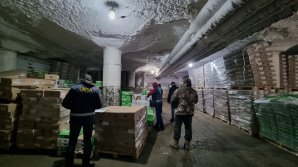 Paraziți, salmonela, precum și depășirea conținutului de nitrați. NECONFORMITĂȚILE depistate în timpul controalelor ANSA 