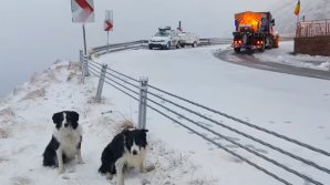 A nins pe Transfăgărășan. Zăpada are deja câțiva centimetri (VIDEO)