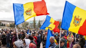 Manifestanţi, escortaţi la sediul Poliţiei. Erau beţi şi înarmaţi cu răngi (FOTO)