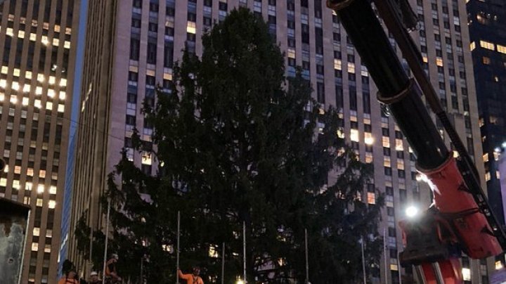 Magie de Crăciun la New York. A fost instalat celebrul brad de Crăciun din faţa Rockefeller Center