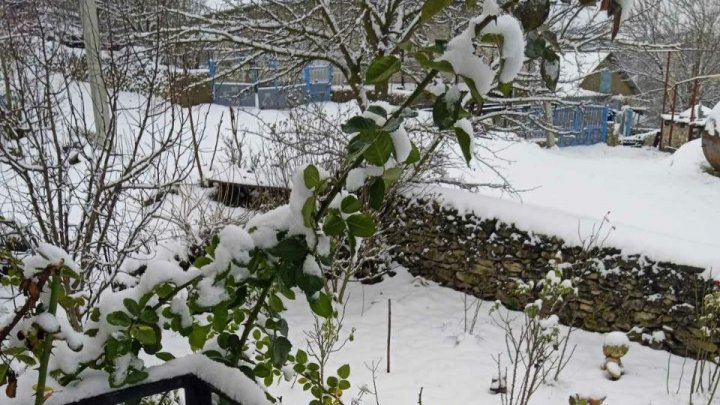 Atmosferă de iarnă! În nordul țării a nins puternic (FOTO)