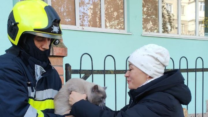 Intervenţie neobişnuită în raionul Căuşeni. Pompierii au salvat o pisică (FOTO)