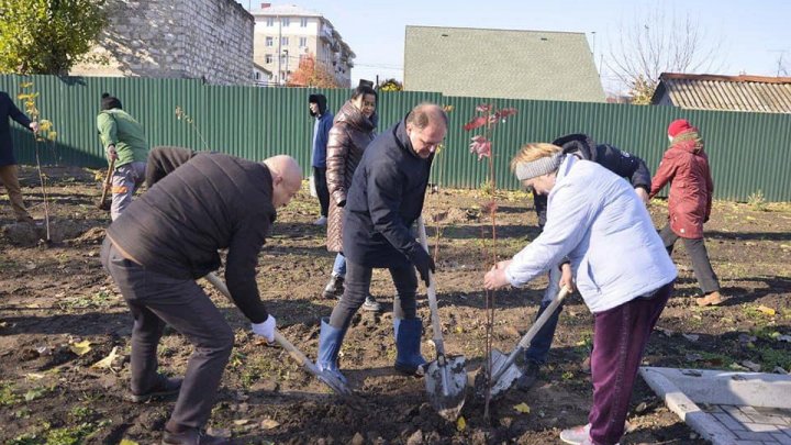 Copii și profesori de la instituțiile de învățământ din Capitală au participat la activități de înverzire a orașului (FOTO)