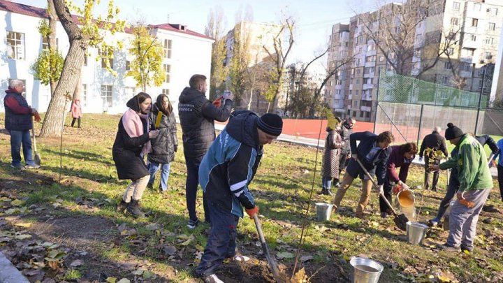 Copii și profesori de la instituțiile de învățământ din Capitală au participat la activități de înverzire a orașului (FOTO)