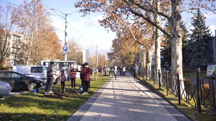 Copii și profesori de la instituțiile de învățământ din Capitală au participat la activități de înverzire a orașului (FOTO)