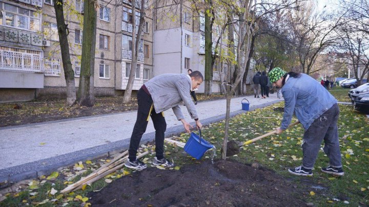 Copii și profesori de la instituțiile de învățământ din Capitală au participat la activități de înverzire a orașului (FOTO)