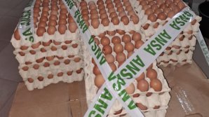 ATENȚIE! Ouă de găină, retrase din vânzare. Ce a depistat ANSA