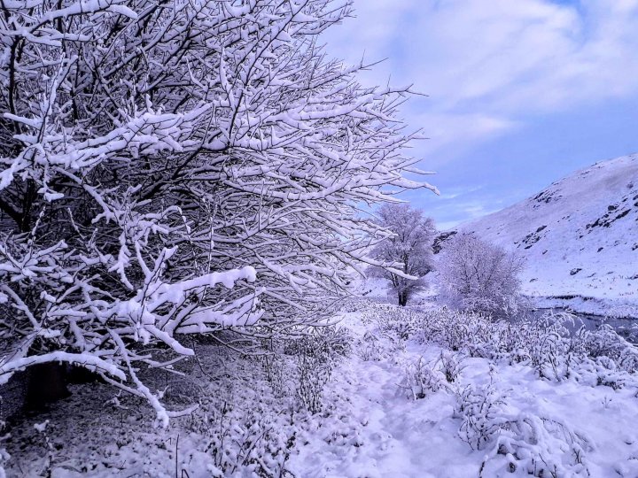 Atât de frumos, atât de magic! A NINS ca în poveste în nordul țării (FOTO)