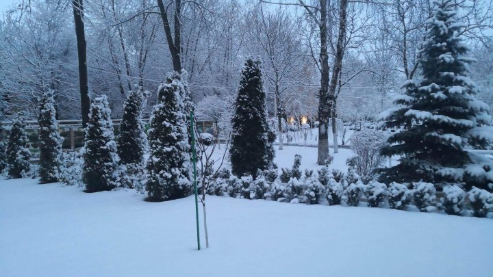 Atât de frumos, atât de magic! A NINS ca în poveste în nordul țării (FOTO)