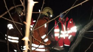 Caz dramatic în raionul Sângerei. O femeie de 69 de ani a căzut într-o groapă de canalizare