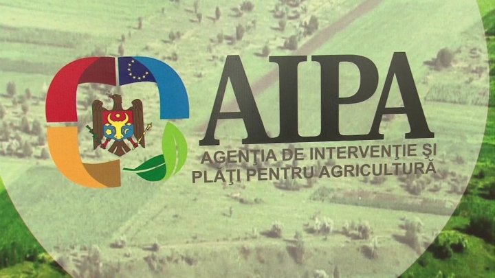 AIPA despre percheziţiile de ieri. Un angajat reţinut, alţi patru au fost cercetaţi de mascaţi