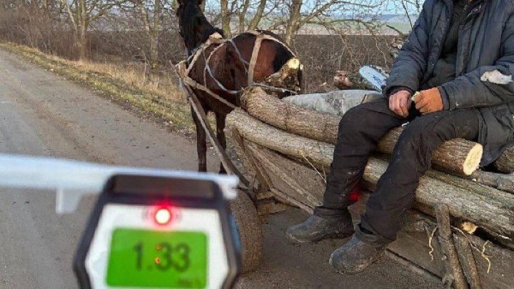 Fără volan și fără reguli. Oamenii legii au depistat în trafic căruțași în stare avansată de ebrietate