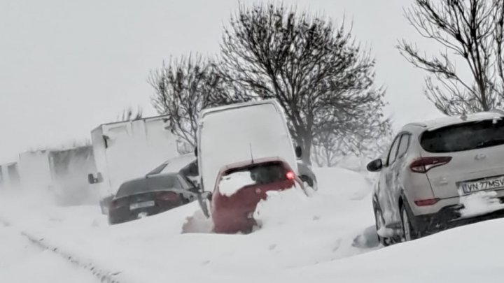 Ninsorile și viscolul fac ravagii în România. Au fost paralizate mai multe artere de circulație (FOTO)