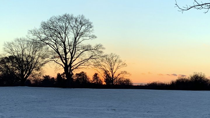 Iarna din februarie. Ce prognoze au meteorologii pentru acest început de lună