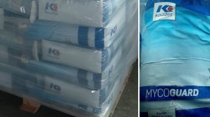 Din Țările de Jos și până în Moldova a uitat ce transportă. O tonă de hrană pentru păsări, nedeclarate la vamă 