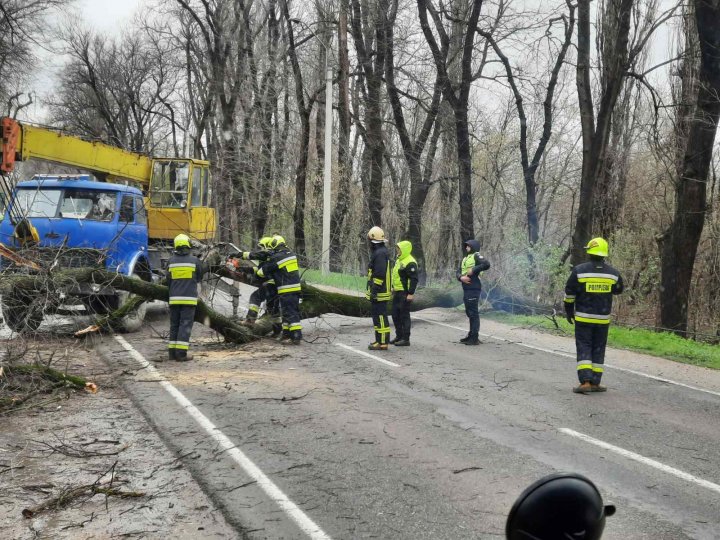 PRĂPĂD în țără din cauza VÂNTULUI PUTERNIC. În caz de situații excepționale, cetățenii sunt rugați să sune la 112