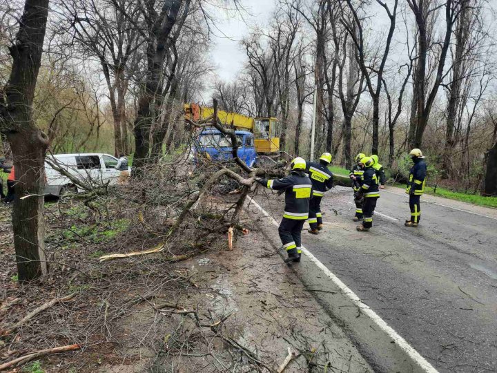 PRĂPĂD în țără din cauza VÂNTULUI PUTERNIC. În caz de situații excepționale, cetățenii sunt rugați să sune la 112