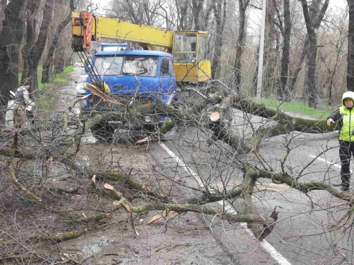 PRĂPĂD în țără din cauza VÂNTULUI PUTERNIC. În caz de situații excepționale, cetățenii sunt rugați să sune la 112