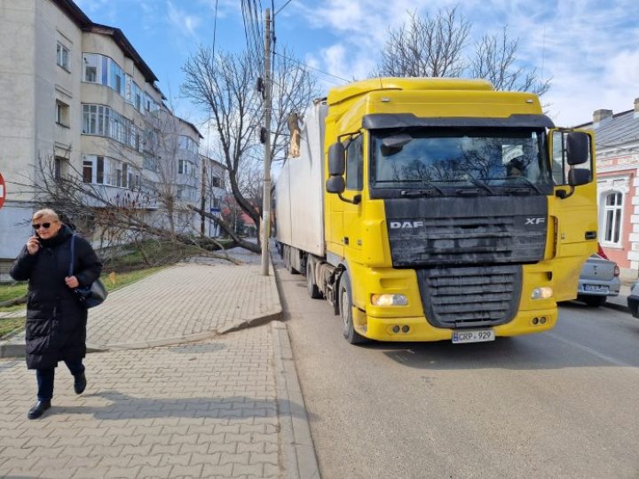 Un copac din Vaslui, doborât de un TIR din Republica Moldova. Rețeaua electrică a cartierului și două apartamente, avariate (FOTO)