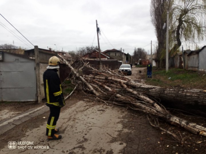 PRĂPĂD în țără din cauza VÂNTULUI PUTERNIC. În caz de situații excepționale, cetățenii sunt rugați să sune la 112