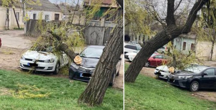 (VIDEO/FOTO) Vântul puternic face RAVAGII în Capitală: copaci doborâţi, maşini avariate şi acoperişuri smulse. APELUL Primăriei Chișinău