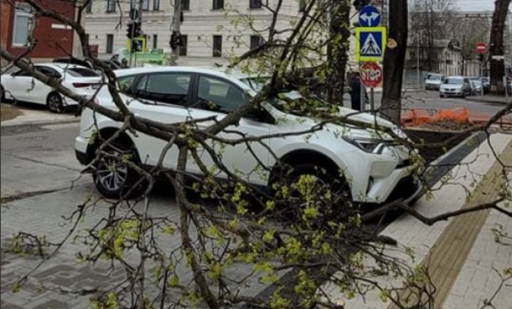 (VIDEO/FOTO) Vântul puternic face RAVAGII în Capitală: copaci doborâţi, maşini avariate şi acoperişuri smulse. APELUL Primăriei Chișinău