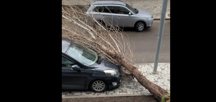 (VIDEO/FOTO) Vântul puternic face RAVAGII în Capitală: copaci doborâţi, maşini avariate şi acoperişuri smulse. APELUL Primăriei Chișinău