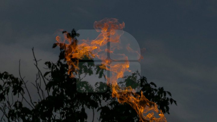 MESAJUL și APELUL Maiei Sandu pentru cei care dau foc la vegetația uscată