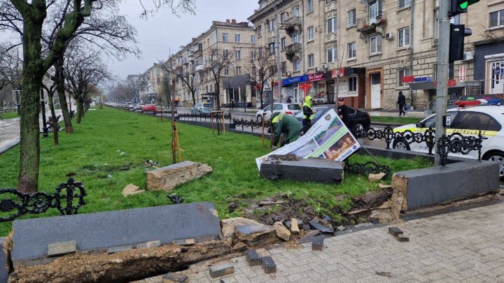 Mașina avariată, iar aleea Grigore Vieru distrusă. Poliția caută șoferul (FOTO/VIDEO)