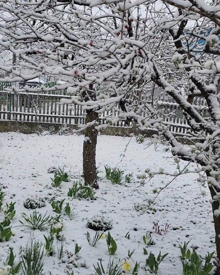 IARNĂ ÎN APRILIE. Zăpada s-a aşternut în mai multe localităţi din ţară (FOTO)