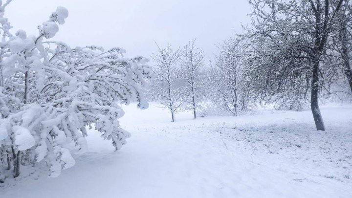 IARNĂ ÎN APRILIE. Zăpada s-a aşternut în mai multe localităţi din ţară (FOTO)