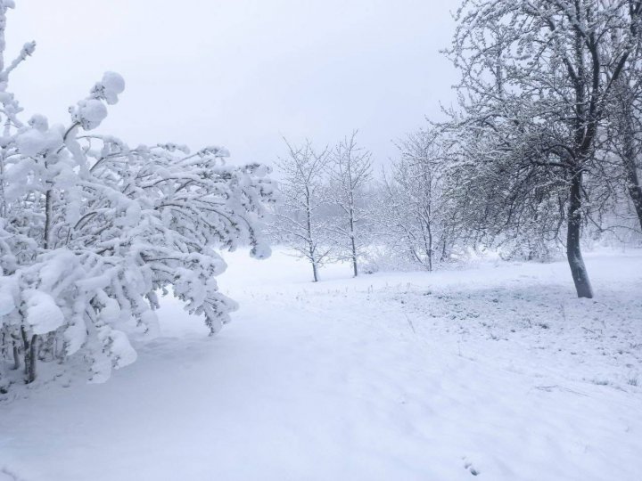 În regiunea de nord și vest a țării se circulă în condiții de iarnă. Șoferii, îndemnați să fie prudenți (FOTO)